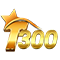 TIKET300